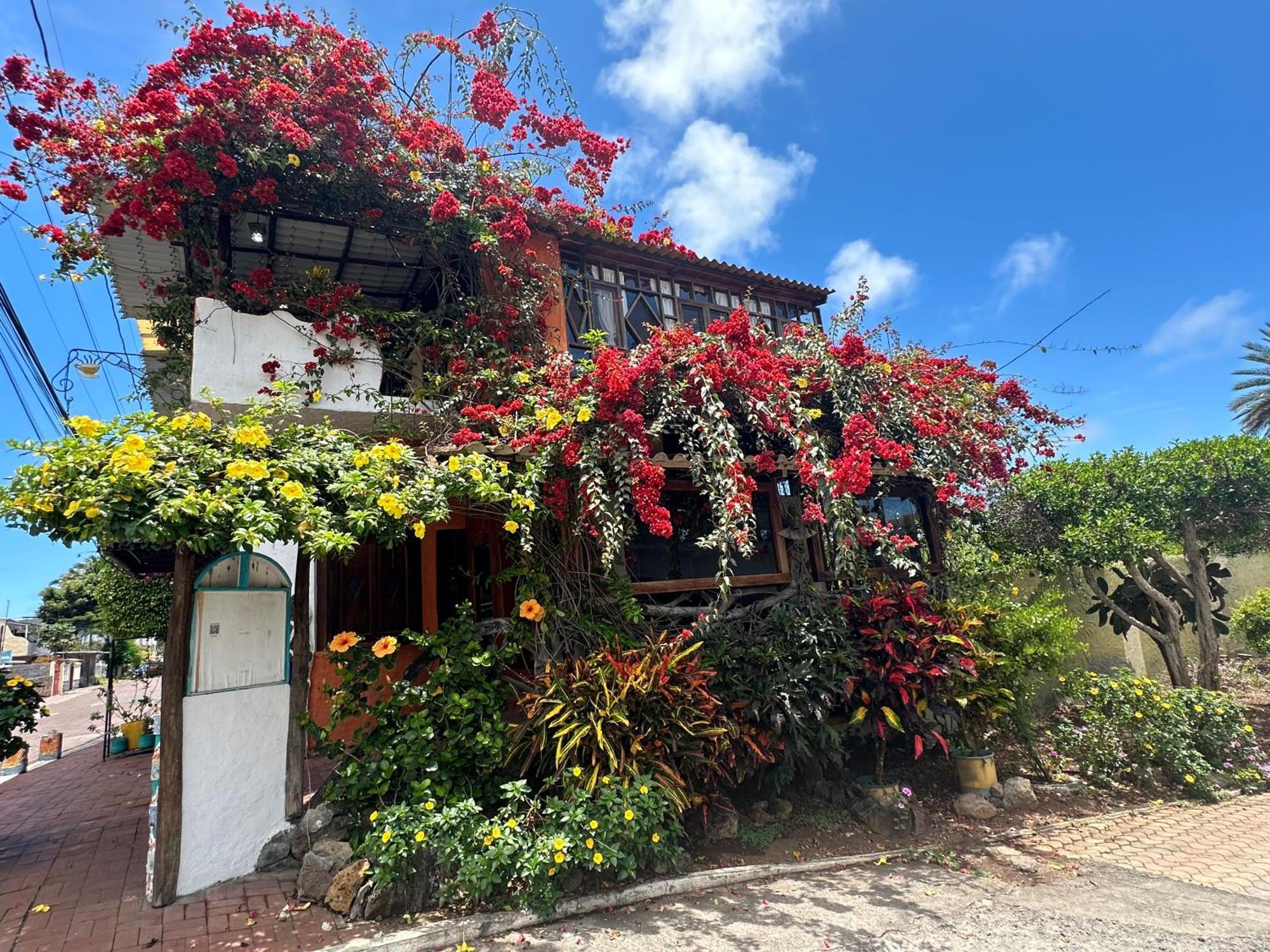 Casa Del Lago Lodging House Puerto Ayora  Zewnętrze zdjęcie